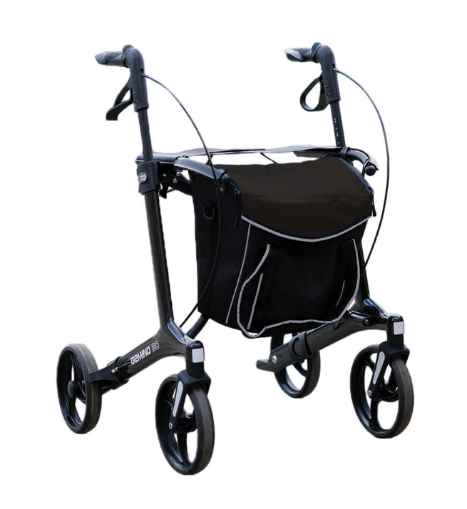 GEMINO CARBON